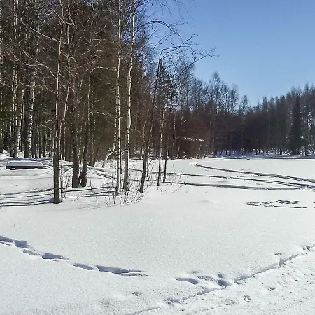 2235 By Interhome Дом отдыха Савонранта